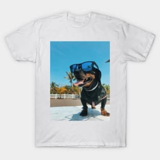 hot dog T-Shirt